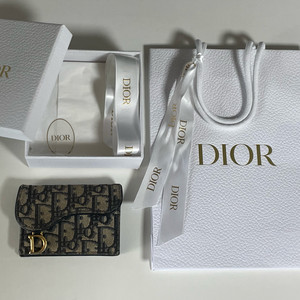 디올 오블리크 새들 카드지갑