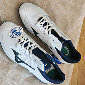 미즈노 스파이크 270