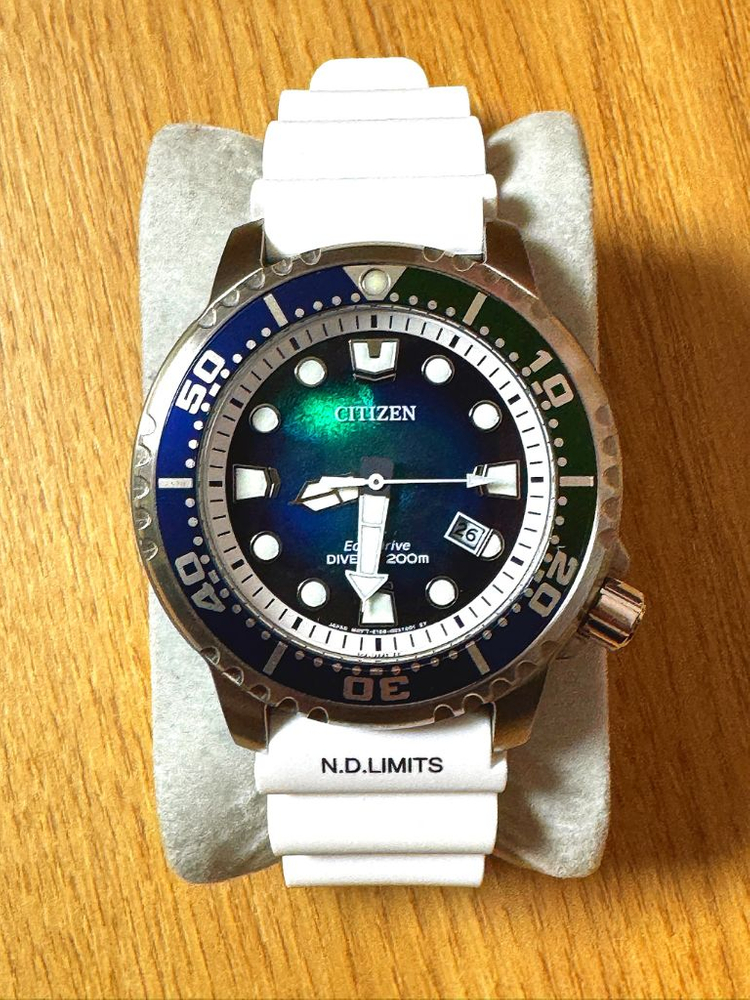 시티즌 다이버 한정판 BN0166-01L--1