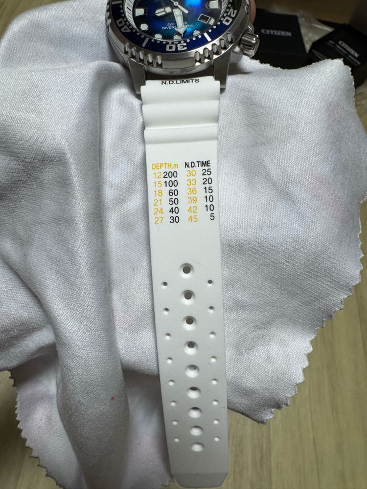 시티즌 다이버 한정판 BN0166-01L--6