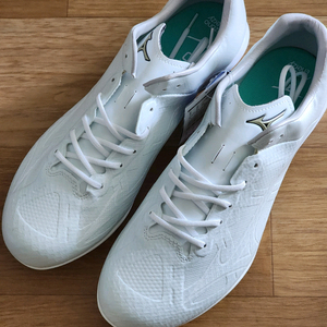 미즈노 스파이크 270