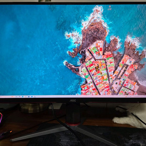 알파스캔 AOC QHD 게이밍 144 프리싱크 무결점