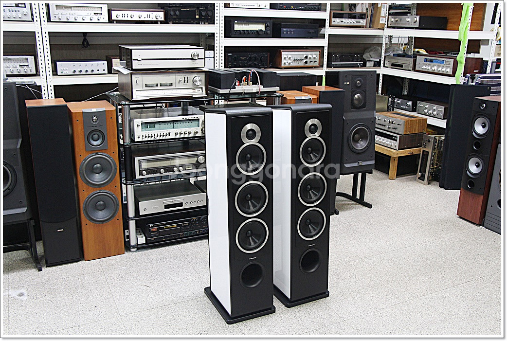 소너스 파베르 민트급 고급 톨보이 스피커 카멜레온 T--0