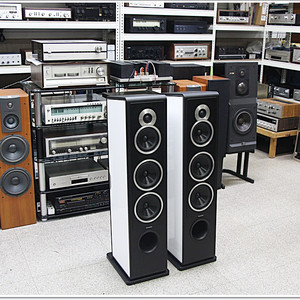 소너스 파베르 민트급 고급 톨보이 스피커 카멜레온 T