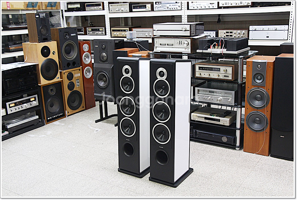 소너스 파베르 민트급 고급 톨보이 스피커 카멜레온 T--1