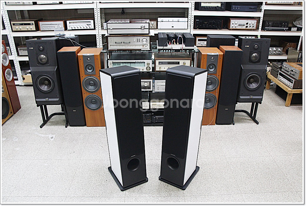 소너스 파베르 민트급 고급 톨보이 스피커 카멜레온 T--6