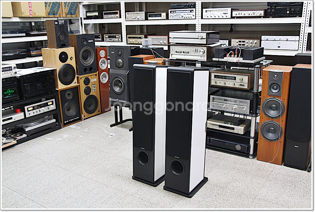 소너스 파베르 민트급 고급 톨보이 스피커 카멜레온 T--5