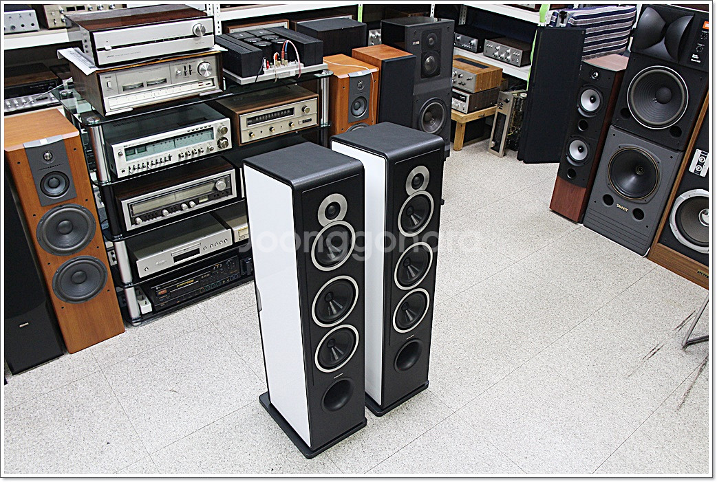 소너스 파베르 민트급 고급 톨보이 스피커 카멜레온 T--3