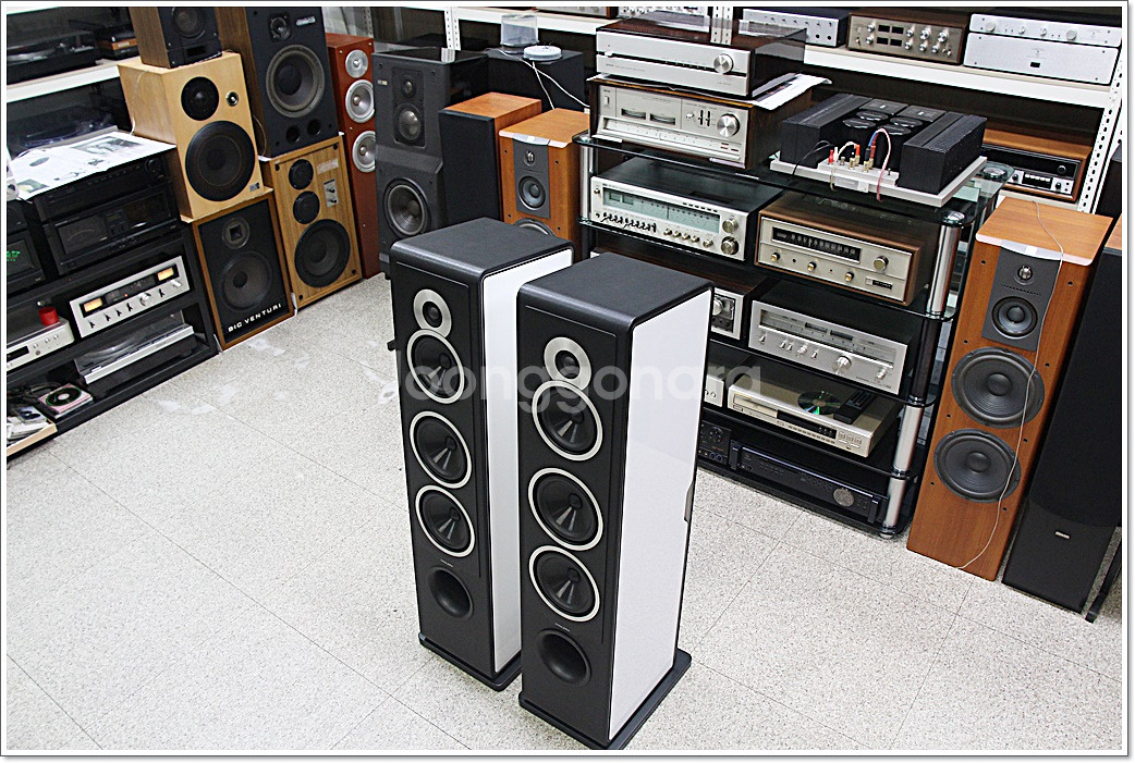 소너스 파베르 민트급 고급 톨보이 스피커 카멜레온 T--4