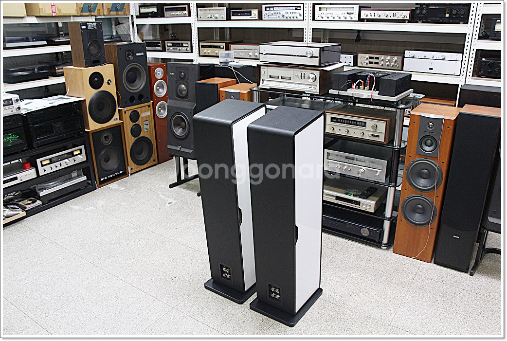 소너스 파베르 민트급 고급 톨보이 스피커 카멜레온 T--7