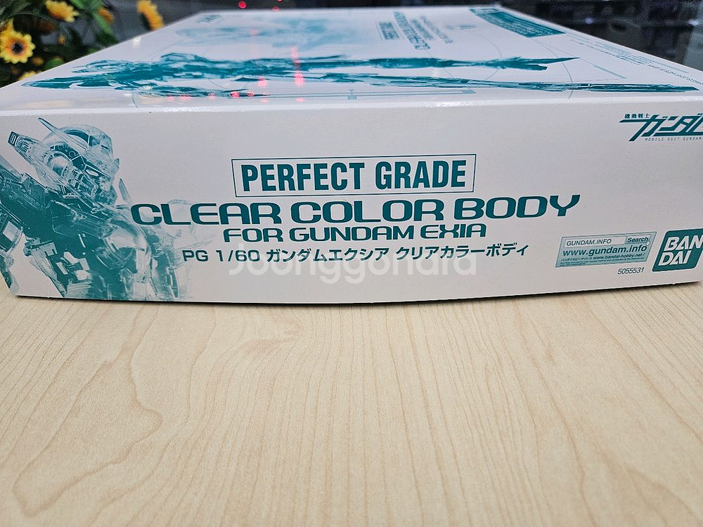 PG 건담 엑시아 클리어 컬러바디 반다이--1