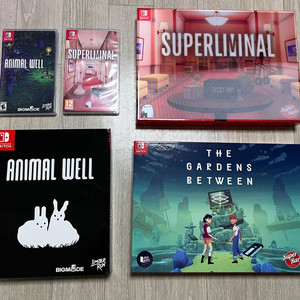 닌텐도 스위치 인디게임 한정판 에디션