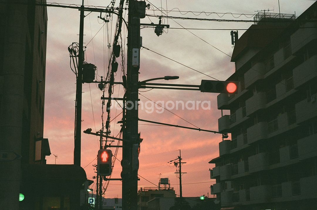 미놀타 X-700 필름카메라--5