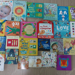 유아영어보드북 24권 최상