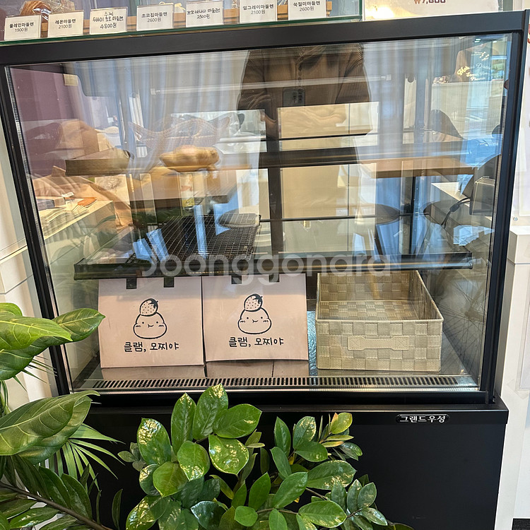 그랜드우성 냉장 쇼케이스--0
