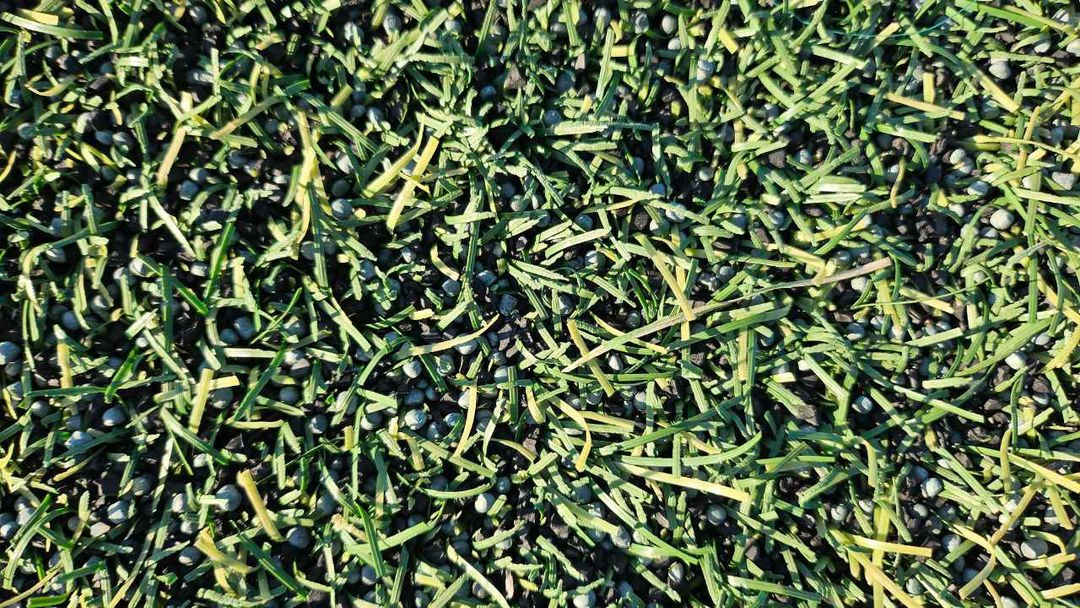 인조잔디 롤 경상남도 작업 5월초 작업 이미지