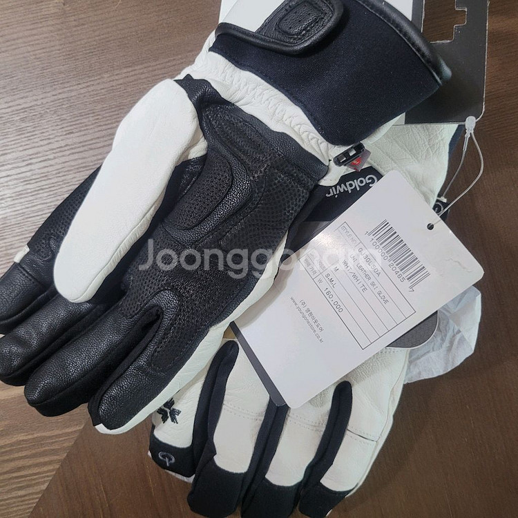 골드윈 스키 가죽장갑--1