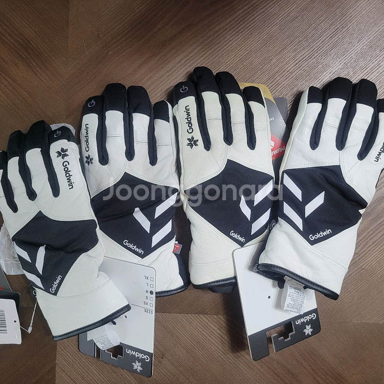 골드윈 스키 가죽장갑--3