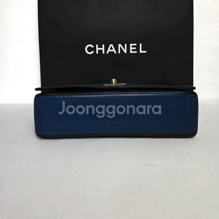 샤넬 마드모아젤 플랩백 쉽스킨--2