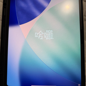 아이패드프로 M4 13 + 애플펜슬 프로