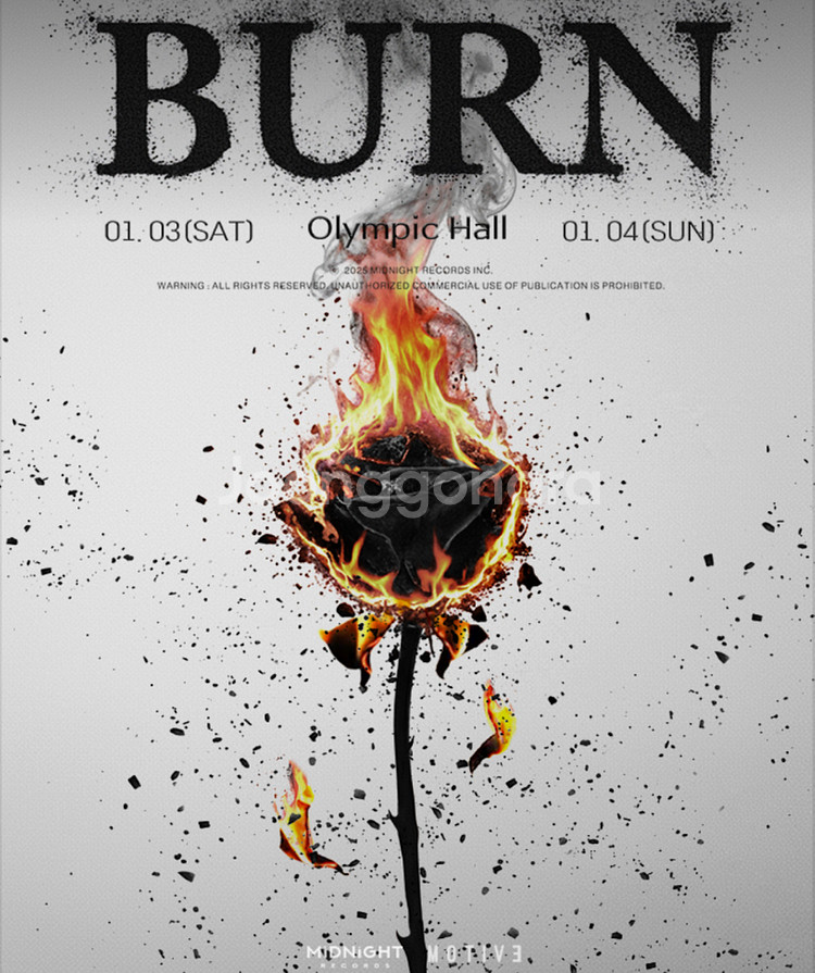 성공률99 애쉬아일랜드 콘서트 대리티켓 댈티--0