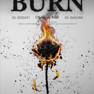 성공률99 애쉬아일랜드 콘서트 대리티켓 댈티