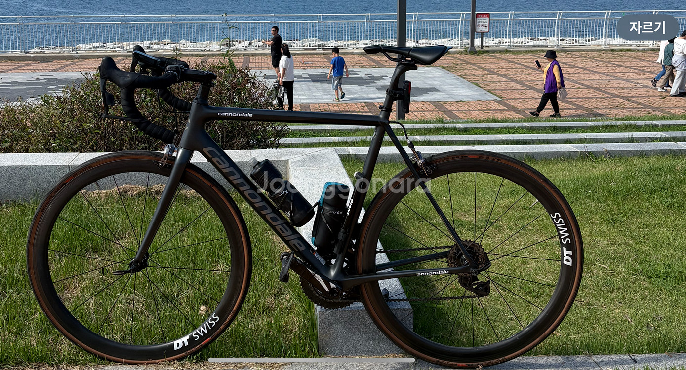 캐논데일 2019 림브 스램레드이탭--0