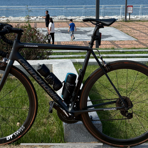 캐논데일 2019 림브 스램레드이탭