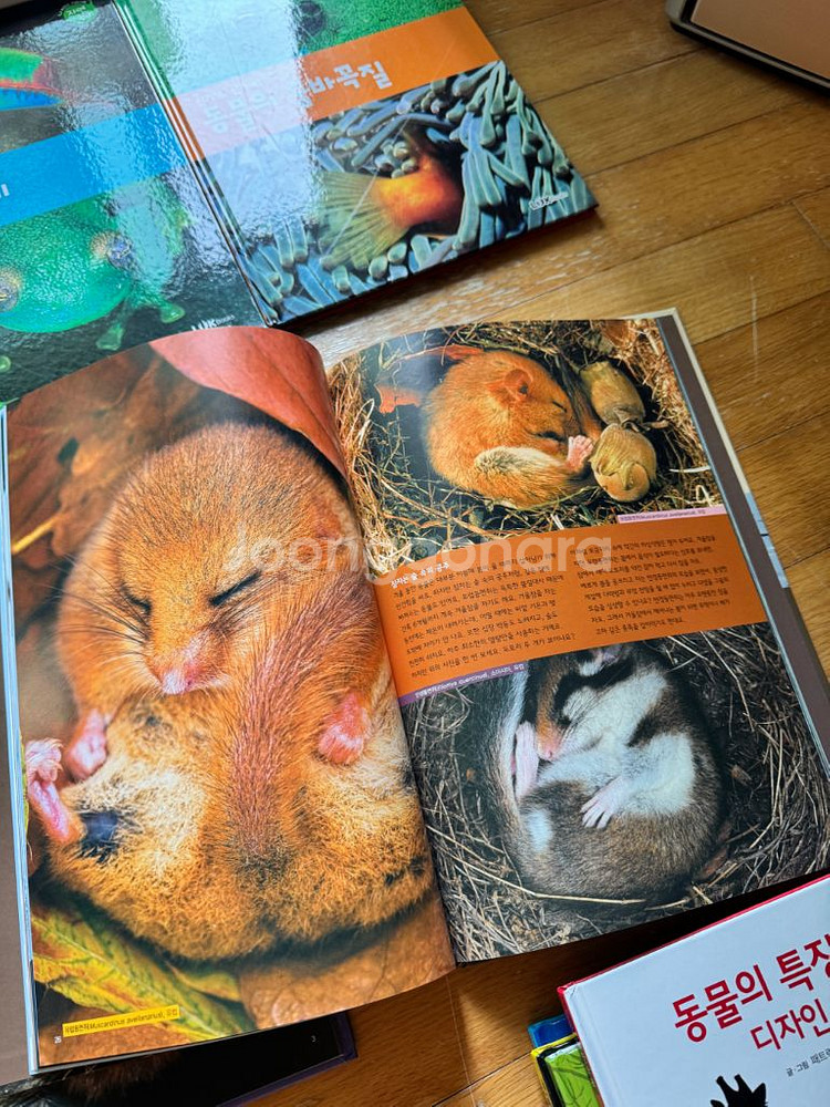 루크북스 자연누리 세트--1