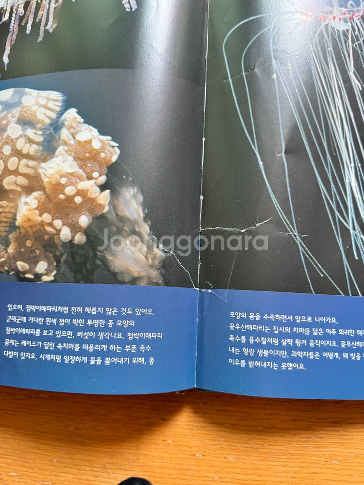 루크북스 자연누리 세트--3