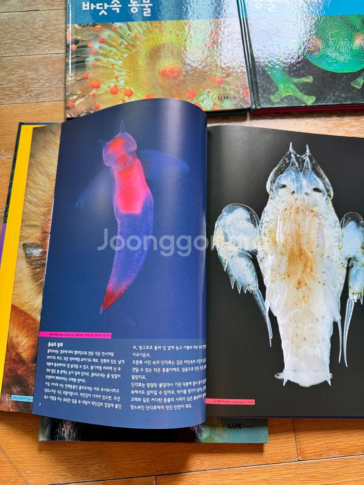 루크북스 자연누리 세트--2