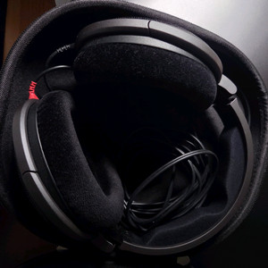 Hd 600 (거의 미사용, 급처,5시전 쿨거 추가네고)