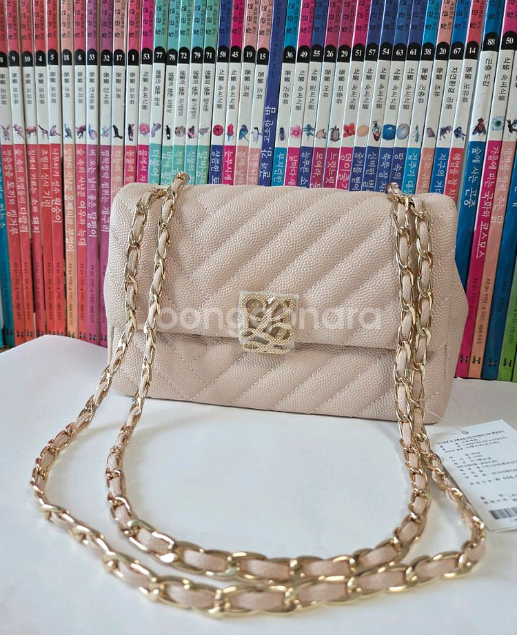 루이까또즈 가방--1