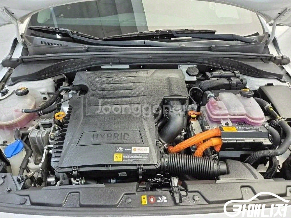 [현대]아이오닉 I PLUS (5인승) #앱특가--4