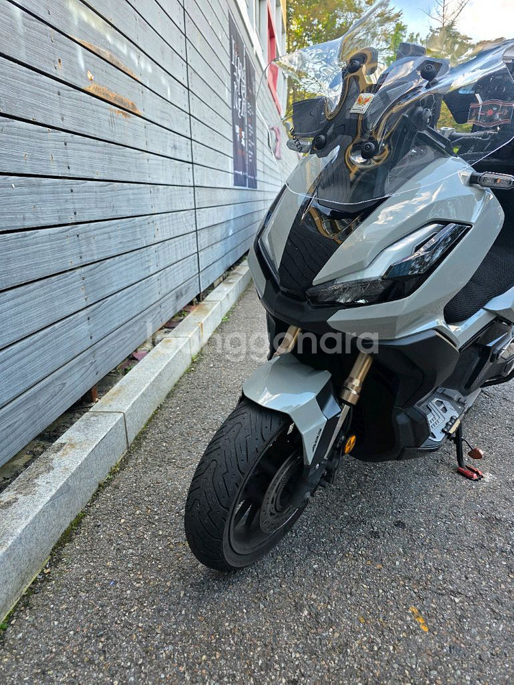 ADV350 24년식 a급--0