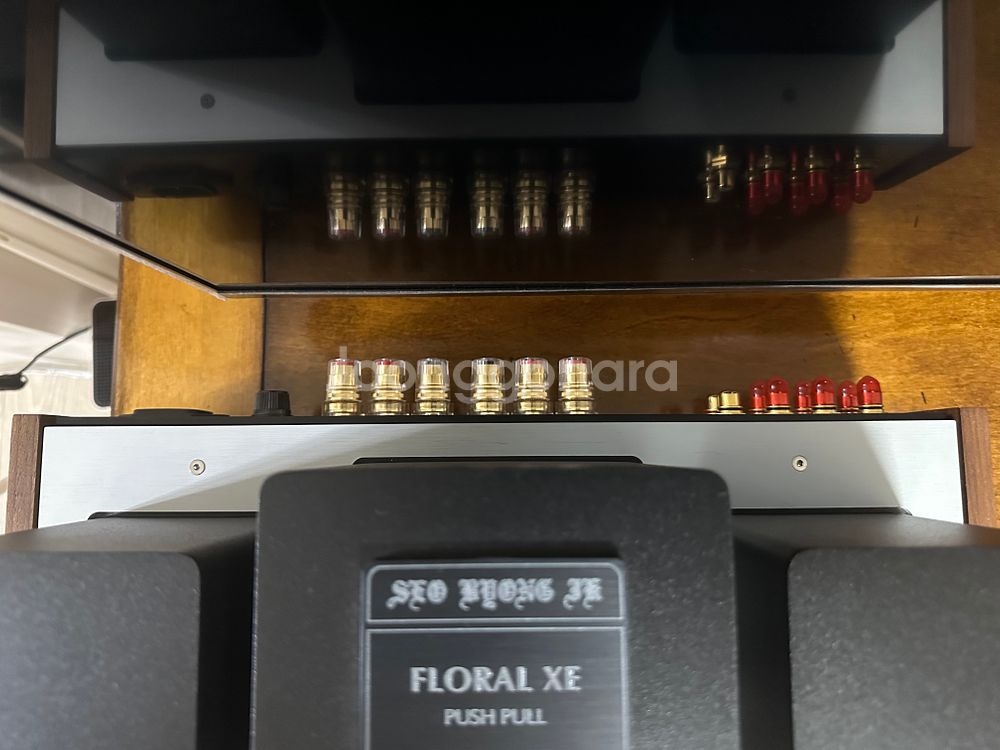 서병익 오디오 플로랄 XE EL34 진공관앰프--4