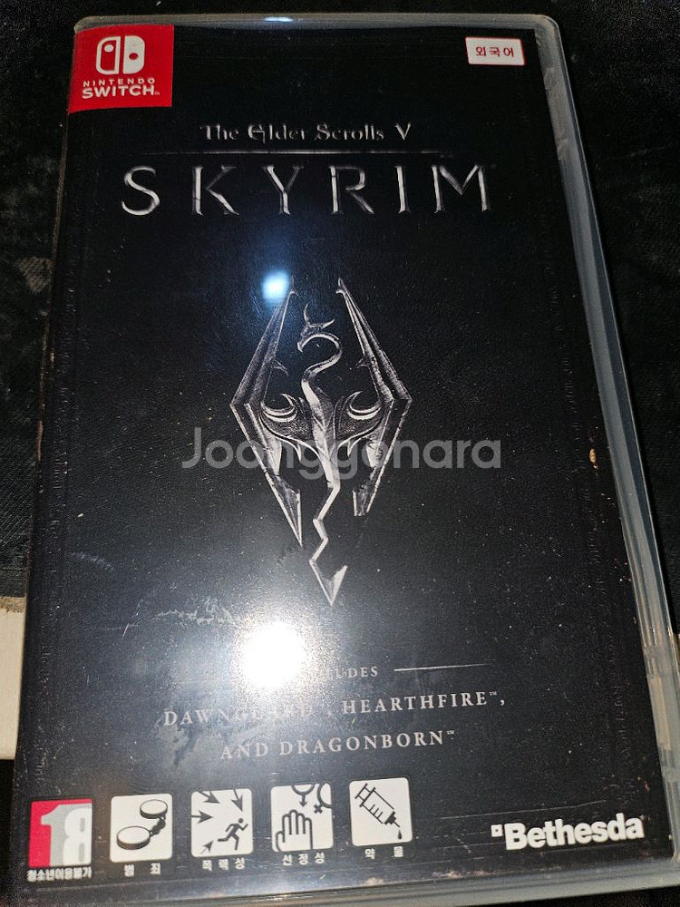 닌텐도 스위치 스카이림--0