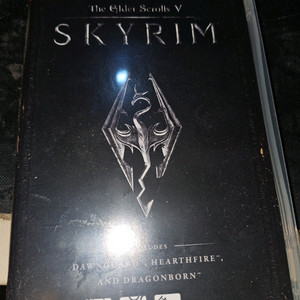 닌텐도 스위치 스카이림