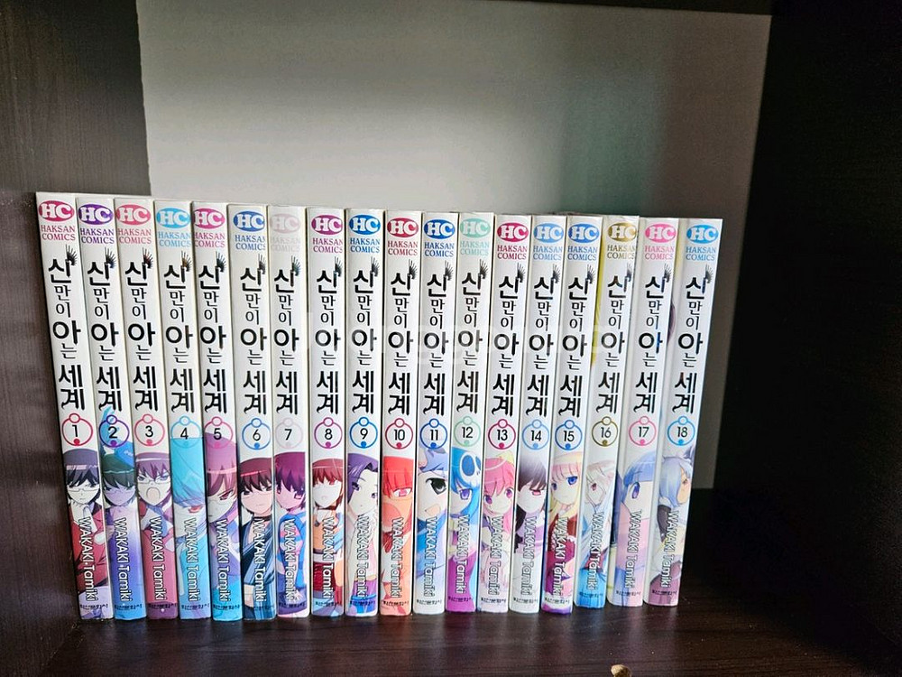 라노벨.만화책 대량정리 판매--0