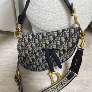 디올 오블리크 새들백