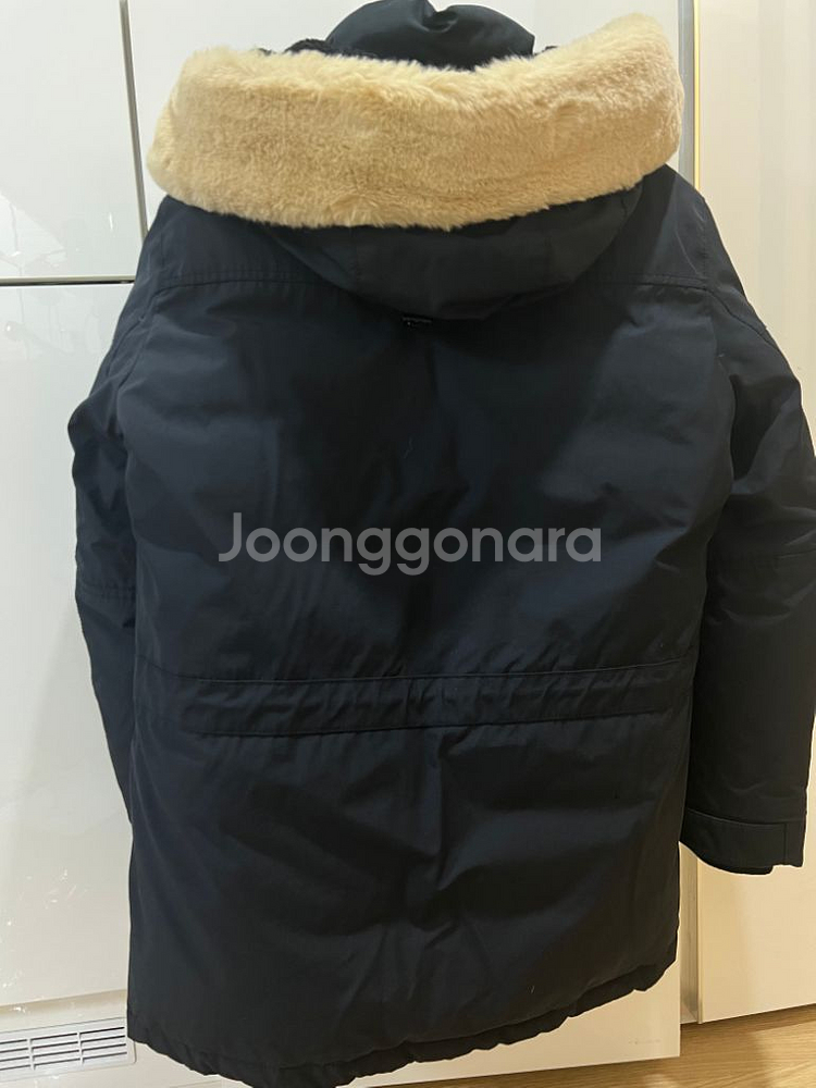 백화점) 라코스테 덕다운 패딩 (100~슬림105)--1