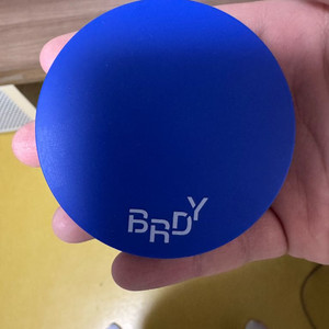 비레디 블루세범 파우더