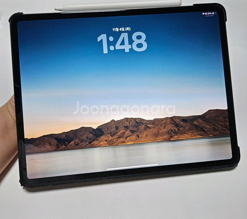 아이패드 프로 4세대 12.9 셀룰러 128GB--1