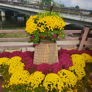 cgv일반관 2d 영화 2인 예매