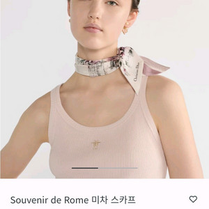 크리스찬디올 마차 스카프