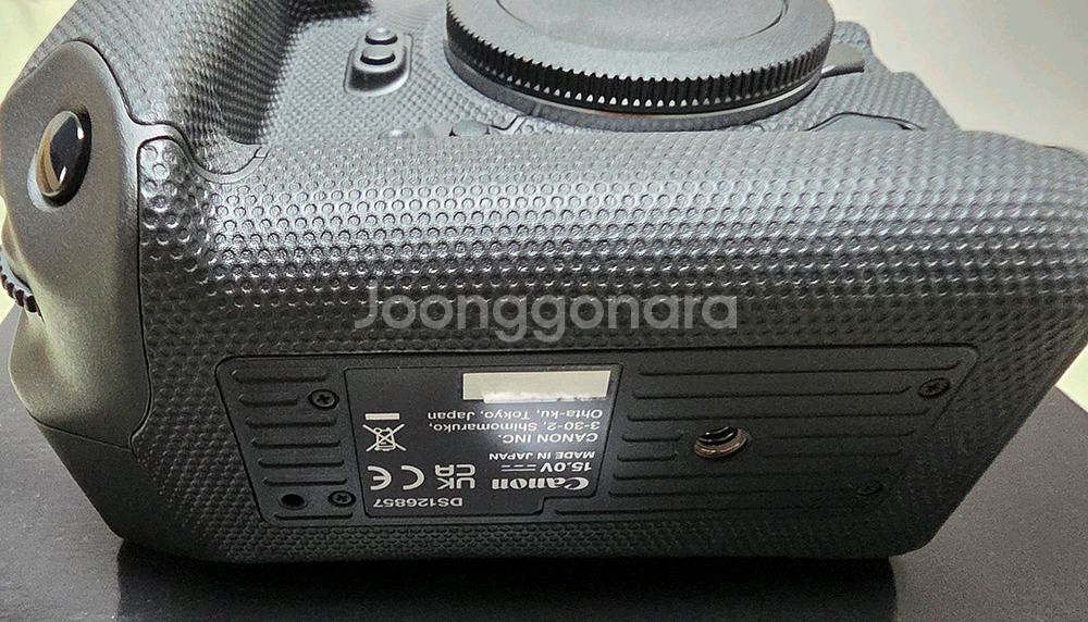 캐논 EOS R3 바디--2