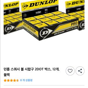 던롭 스쿼시볼 박스 5박스