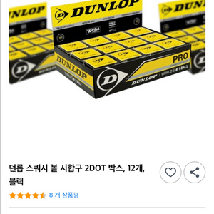 던롭 스쿼시볼 박스 5박스