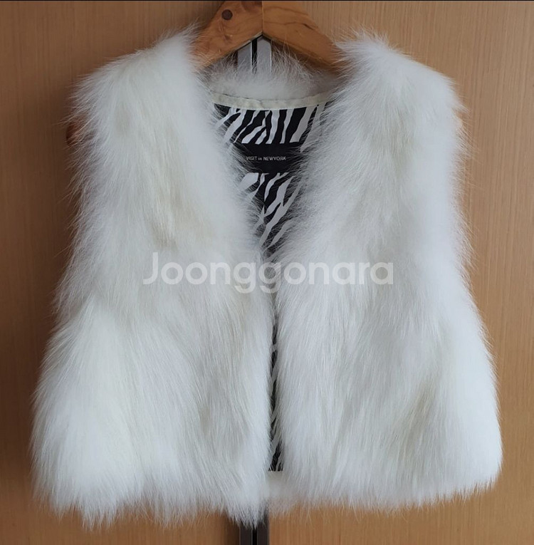 폭스퍼 베스트--0