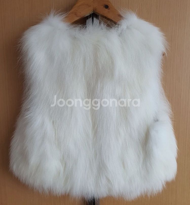 폭스퍼 베스트--1